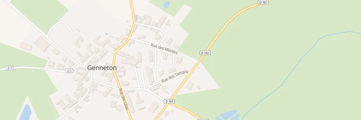 Plan du 12 Rue des Mûriers à Genneton