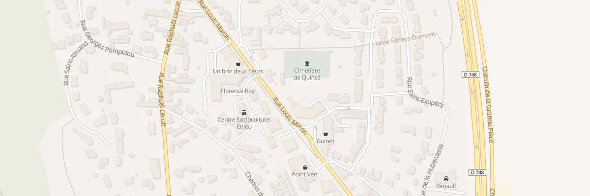 Plan du 99 Rue Louis Moron à Brissac Loire Aubance