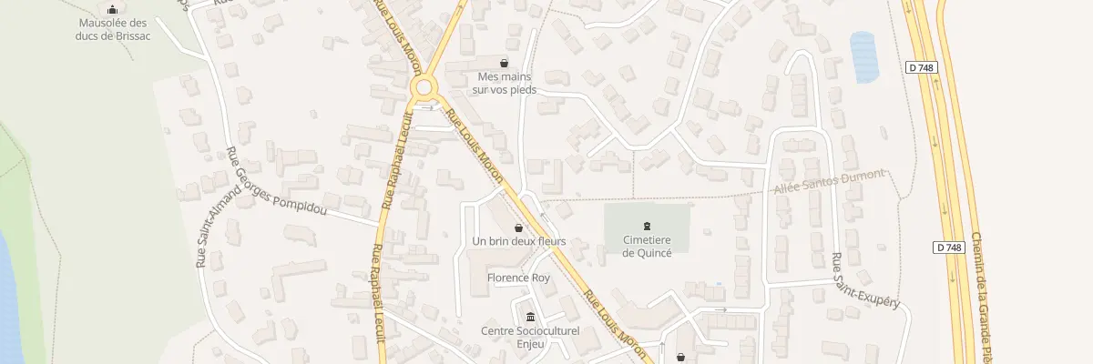 Plan du 93 Rue Louis Moron à Brissac Loire Aubance