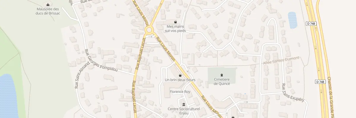 Plan du 91 Rue Louis Moron à Brissac Loire Aubance