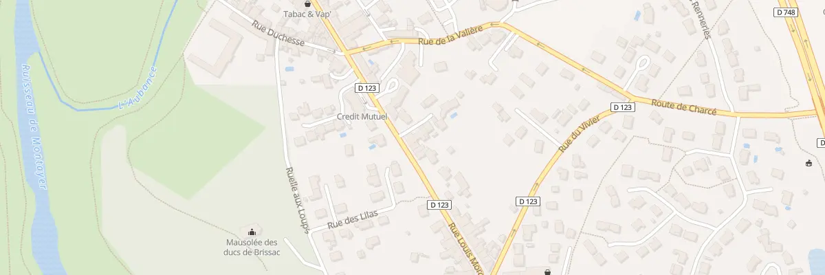 Plan du 55 Rue Louis Moron à Brissac Loire Aubance