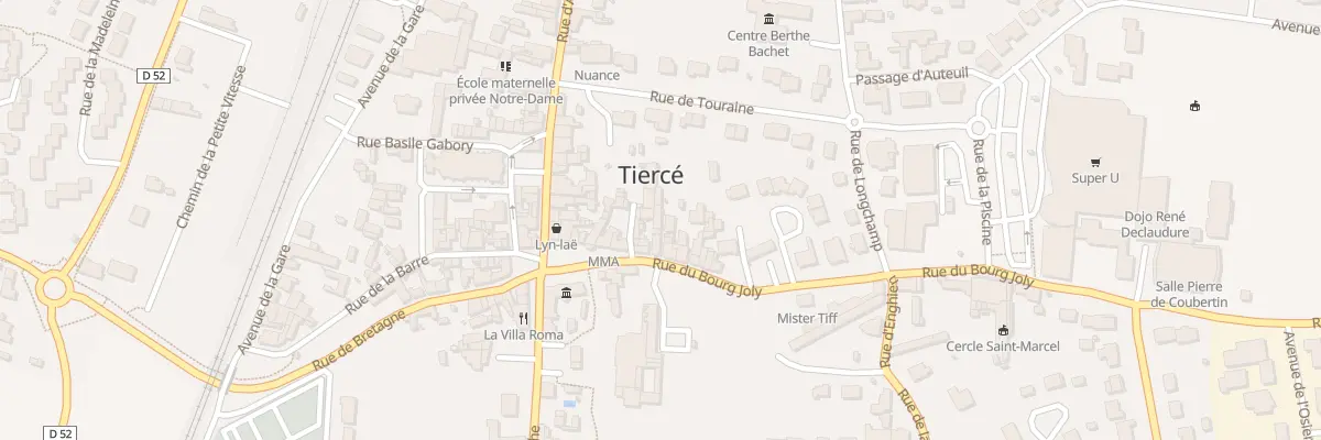 Plan du 9 Rue du Bourg Joly à Tiercé