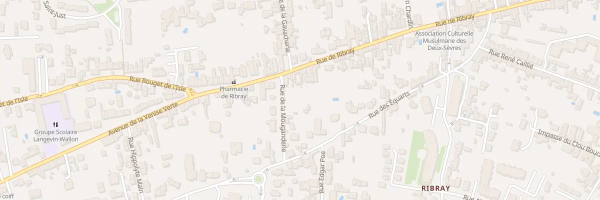 Plan du 203 Rue de Ribray à Niort