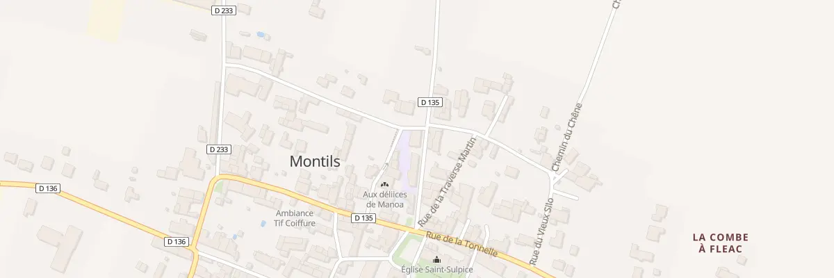 Plan du 9 Rue des Cytises à Montils