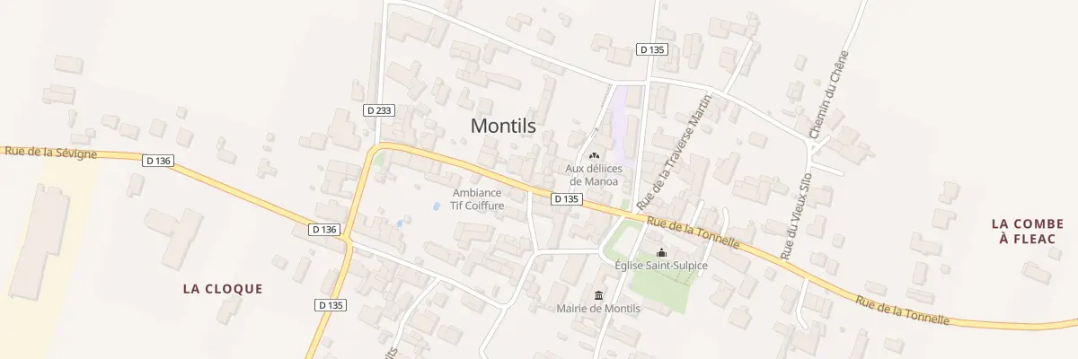 Plan du 10 Rue du Commerce à Montils