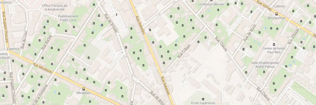 Plan du 11B Rue Rabelais à Angers
