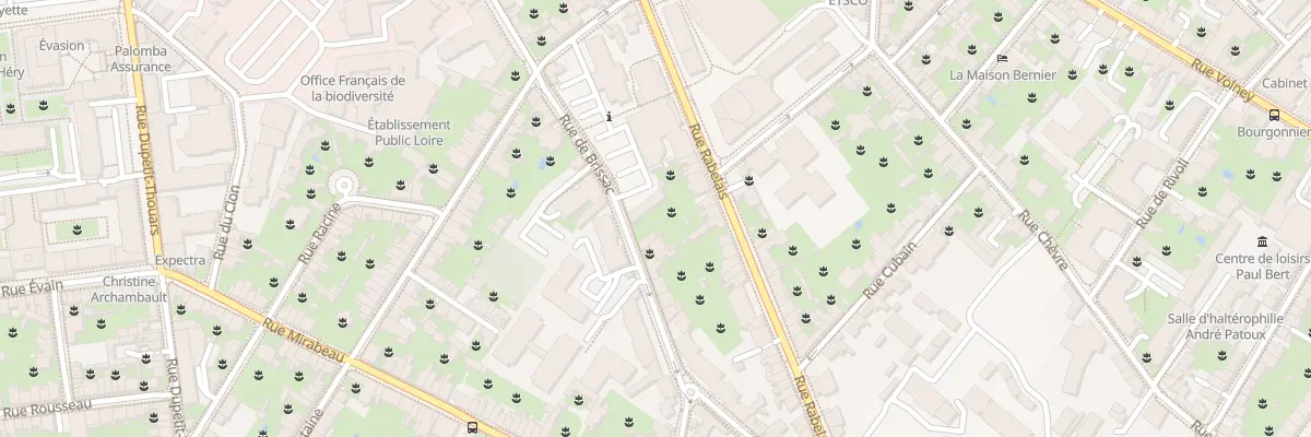 Plan du 59 Rue de Brissac à Angers