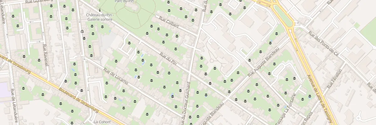 Plan du 60 Rue du Doc Guichard à Angers