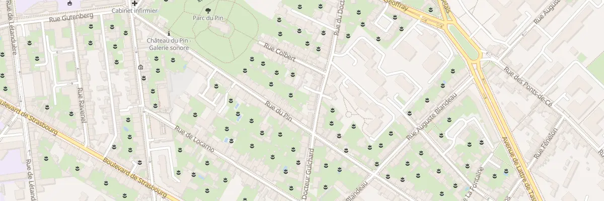 Plan du 56 Rue du Doc Guichard à Angers
