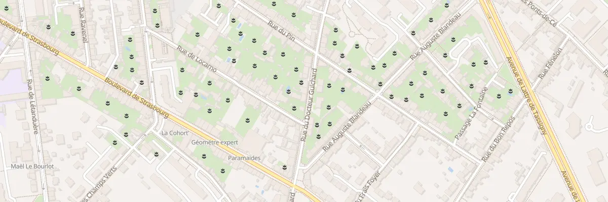 Plan du 78 Rue du Doc Guichard à Angers