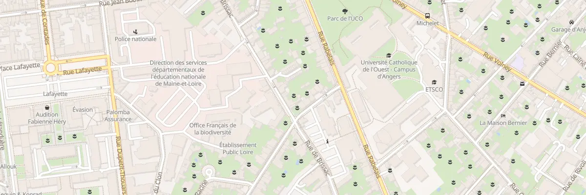 Plan du 53 Rue de Brissac à Angers