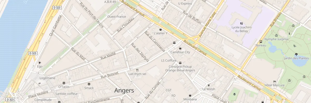 Plan du 6 Rue Boisnet à Angers