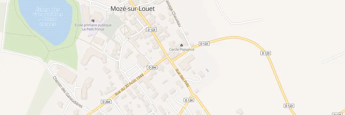 Plan du 48 Rue du 22 Juillet 1793 à Mozé-sur-Louet