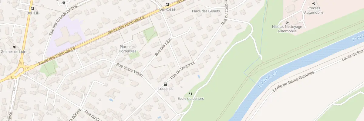 Plan du 15 Rue du Loupinot à Sainte-Gemmes-sur-Loire