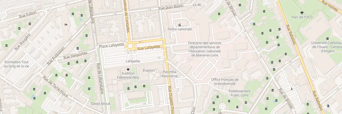 Plan du 19 Rue Dupetit Thouars à Angers