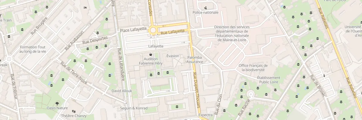 Plan du 20D Rue Dupetit Thouars à Angers