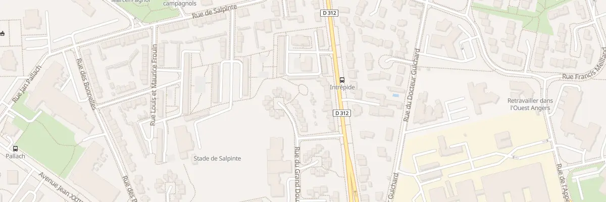 Plan du 77 Rue du grand Douzillé à Angers