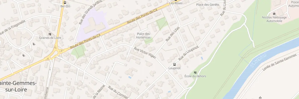 Plan du 6 Rue Victor Vigan à Sainte-Gemmes-sur-Loire