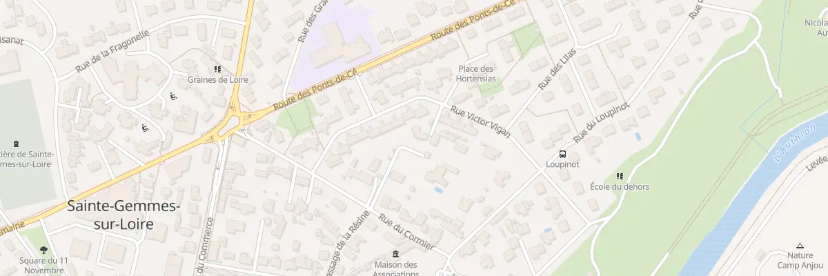 Plan du 5T Rue Victor Vigan à Sainte-Gemmes-sur-Loire
