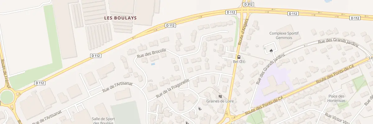 Plan du 2 Rue des Brocolis à Sainte-Gemmes-sur-Loire