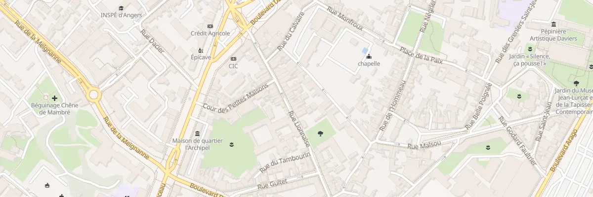 Plan du 66 Rue Lionnaise à Angers