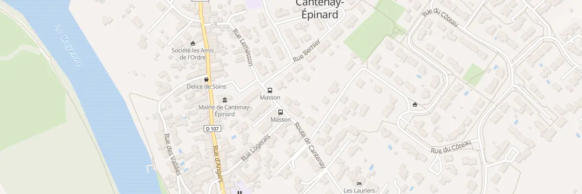 Plan du 11 Rue Lemasson à Cantenay-Épinard
