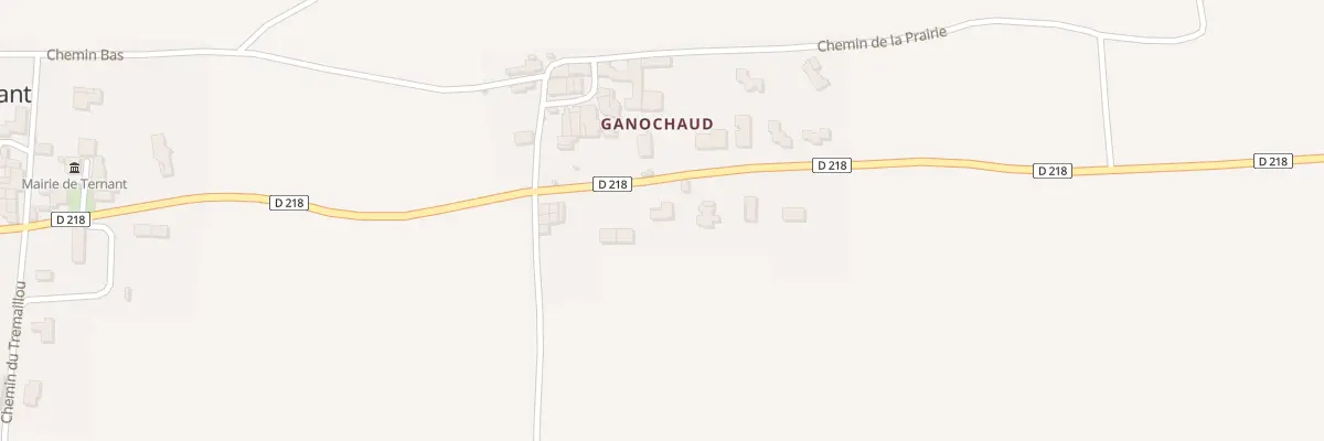 Plan du 135 Rue de Ganochaud à Ternant