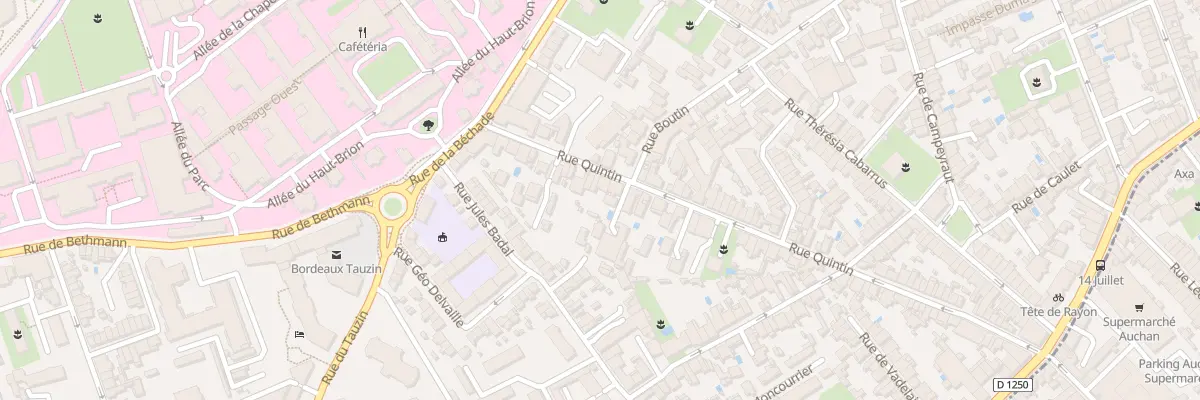 Plan du 100 Rue Quintin à Bordeaux