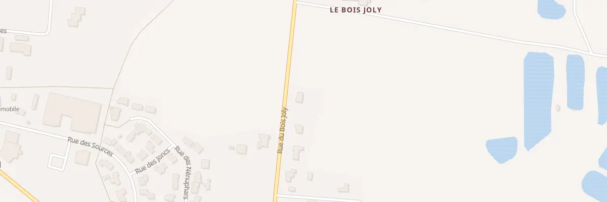 Plan du 20 Rue du Bois Joly (Melay) à Chemillé-en-Anjou