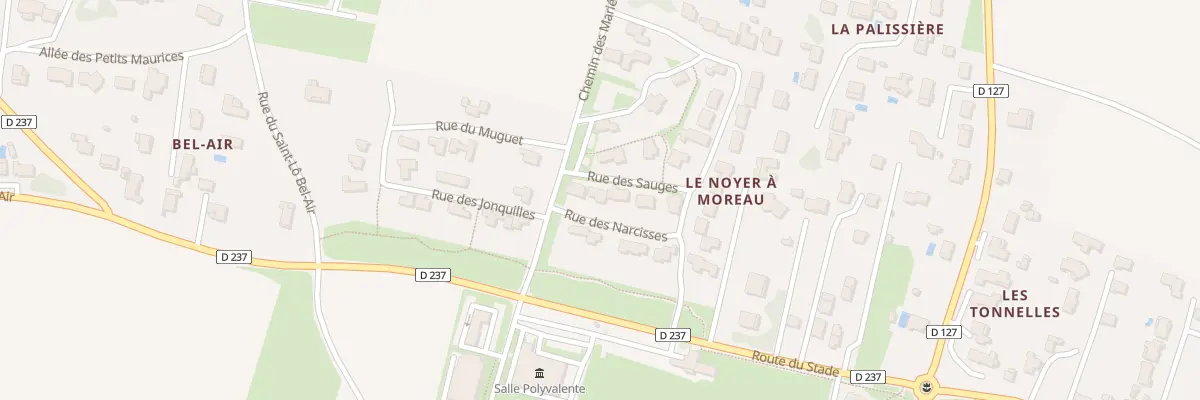 Plan du 10 Rue des Narcisses à Saint-Georges-des-Coteaux