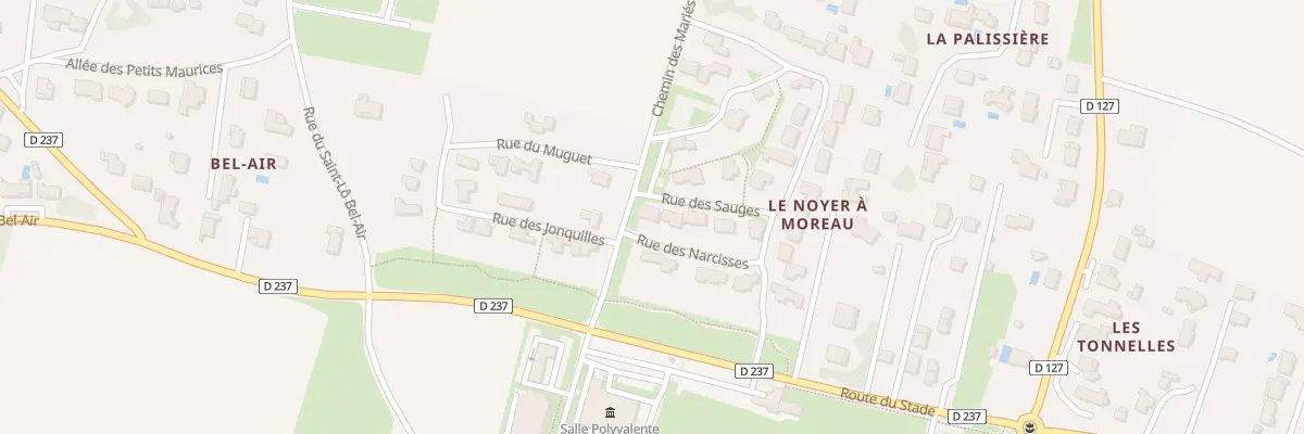 Plan du 12 Rue des Narcisses à Saint-Georges-des-Coteaux