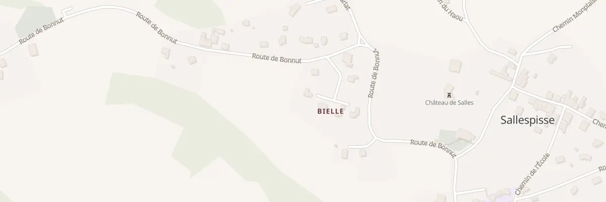 Plan du 5495 Bielle à Sallespisse