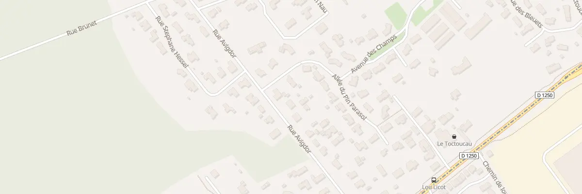Plan du 20T Rue Avigdor à Pessac