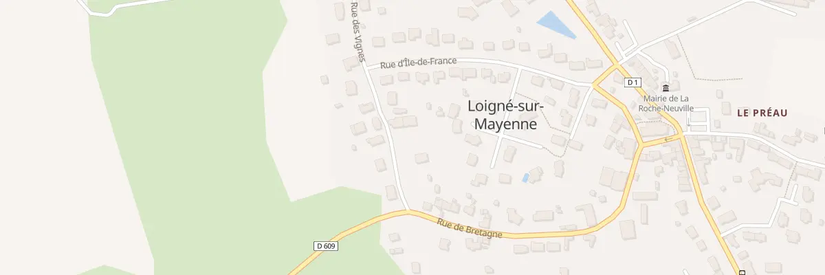 Plan du 4 Rue des Vignes à La Roche-Neuville