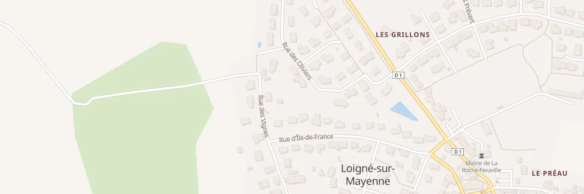 Plan du 10 Rue des Vignes à La Roche-Neuville