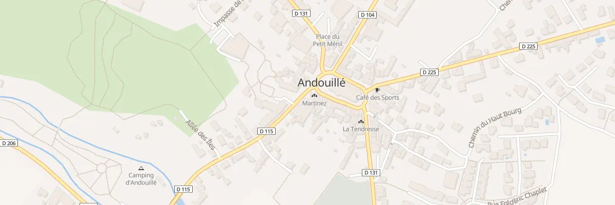 Plan du 3 Rue du Doc Jouis à Andouillé