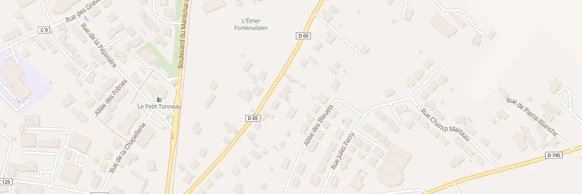 Plan du 21 Rue de merite à Fontenay-le-Comte
