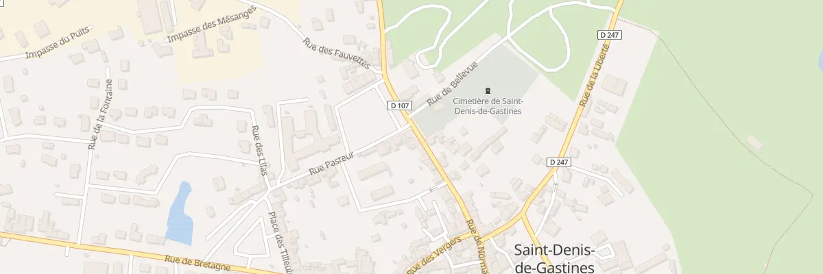 Plan du 2 Rue Pasteur à Saint-Denis-de-Gastines