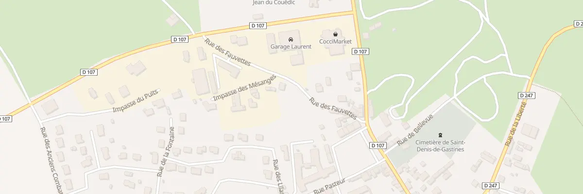 Plan du 10 Rue des Fauvettes à Saint-Denis-de-Gastines