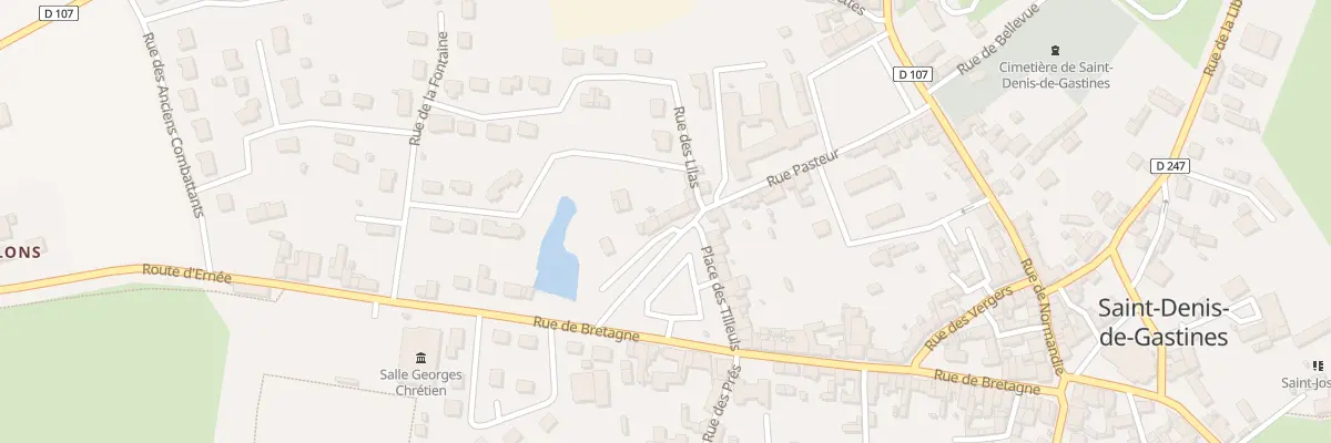 Plan du 9 Rue Pasteur à Saint-Denis-de-Gastines