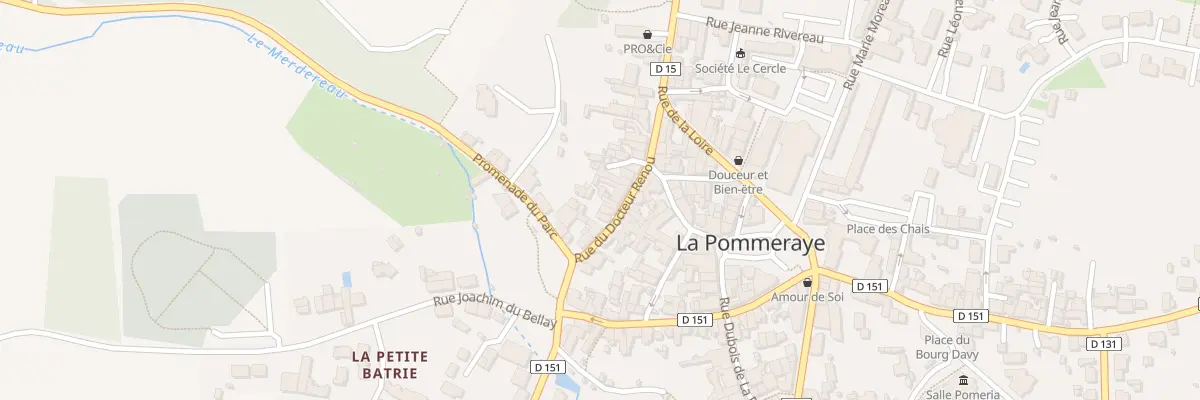 Plan du 22 Rue du Doc Renou à Mauges-sur-Loire