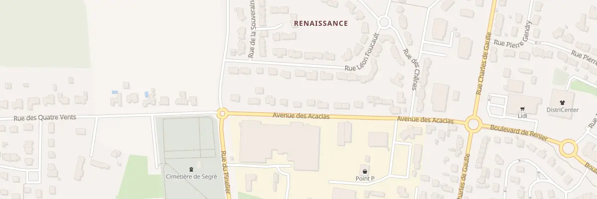 Plan du 20 Av des Acacias à Segré-en-Anjou Bleu