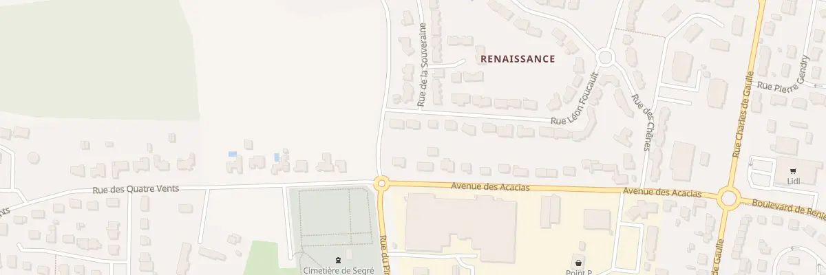 Plan du 48 Rue Léon Foucault à Segré-en-Anjou Bleu