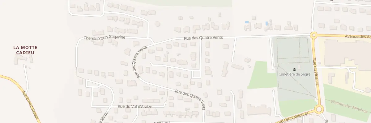 Plan du 8 Rue du Bois à Segré-en-Anjou Bleu