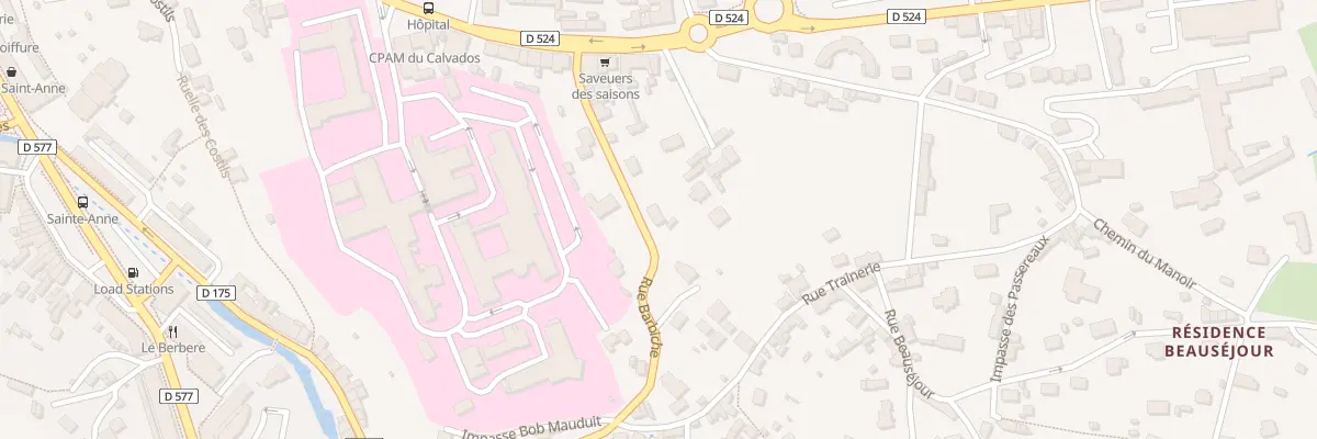 Plan du 21 Rue Barbiche Vire à Vire Normandie