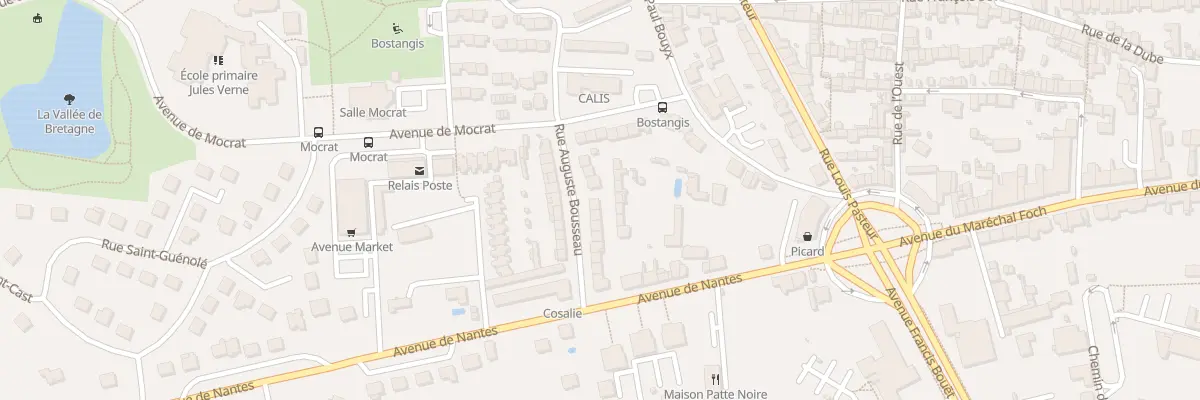 Plan du 17 Rue Doc Bousseau à Cholet