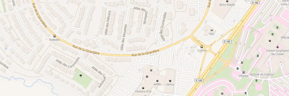 Plan du 107 Rue de la Girardière à Cholet