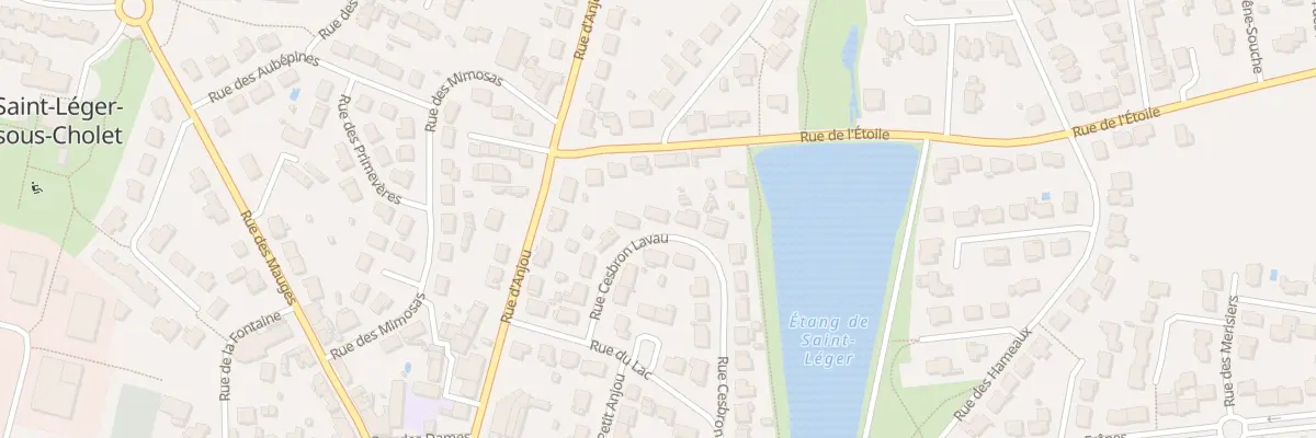Plan du 38 Rue Cesbron Lavau à Saint-Léger-sous-Cholet