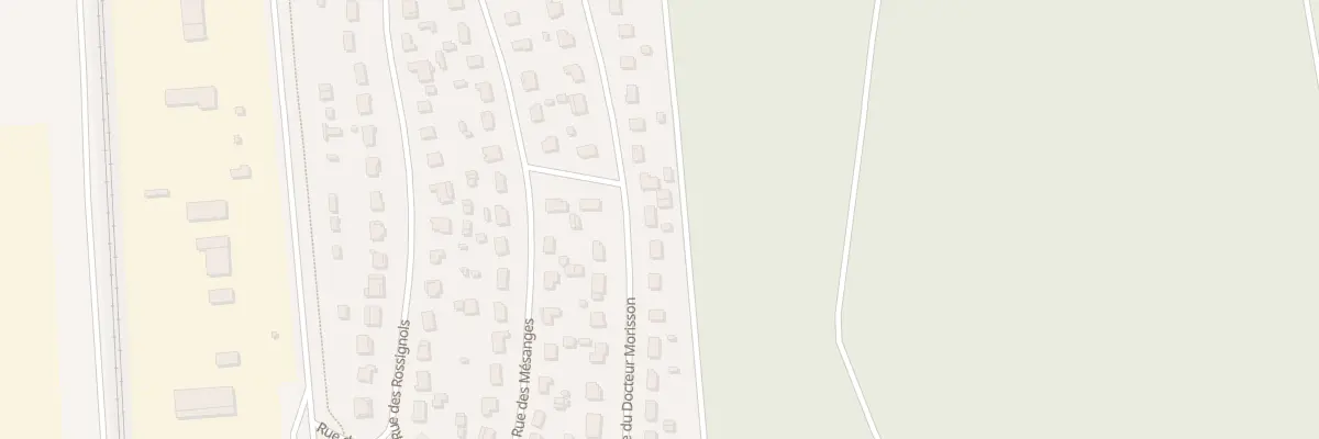 Plan du 561 Rue du Docteur Morisson à Labouheyre