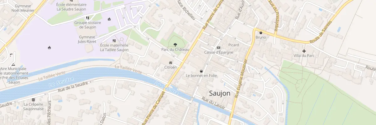 Plan du 31 Rue Pierre de Campet à Saujon